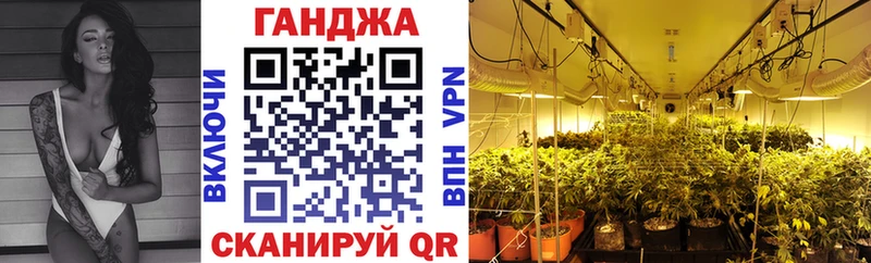 Шишки марихуана марихуана  Купить  Шатура 